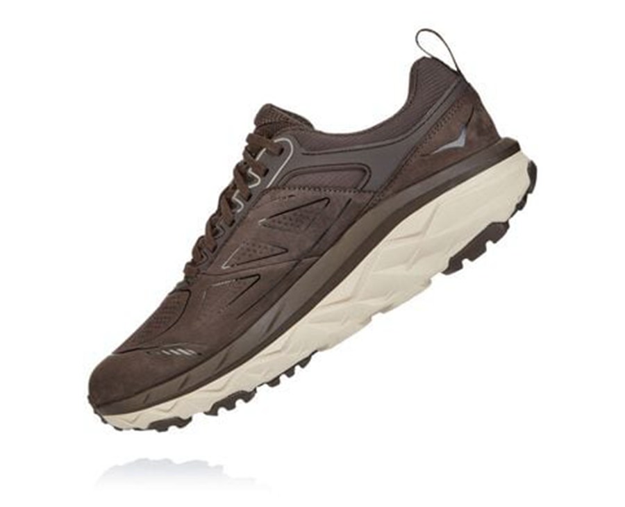 Chaussure Trail Hoka One One Challenger Basse Gore-Tex Homme - Marron - FYL-601582